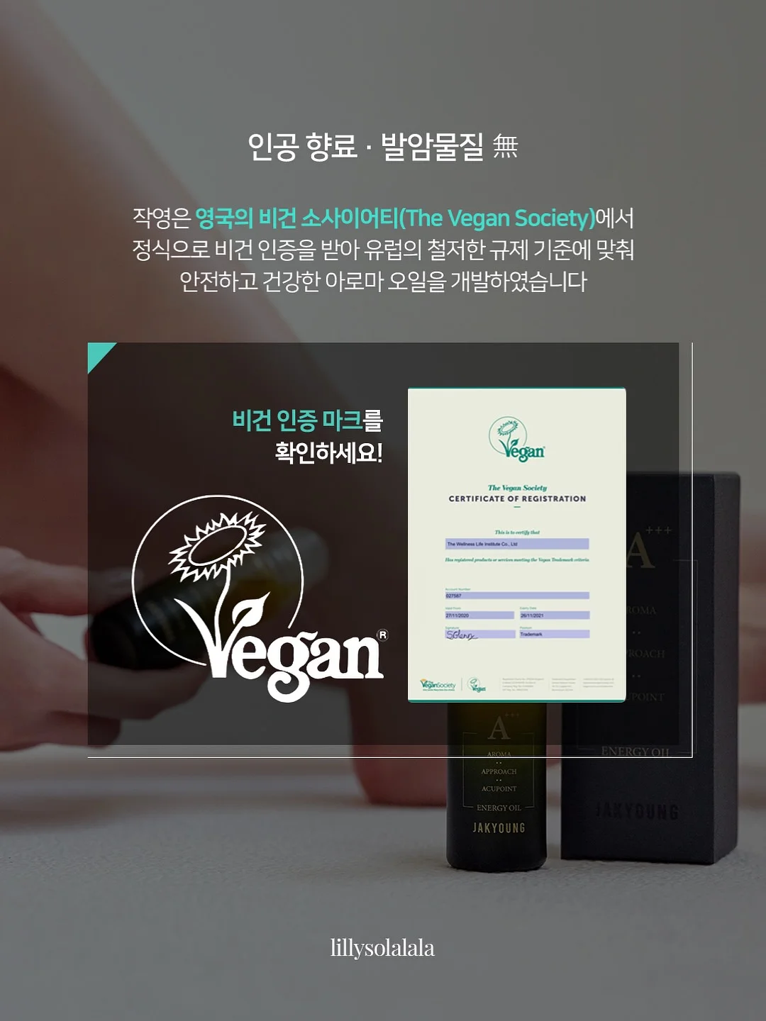 아이폰 스냅 촬영권 6