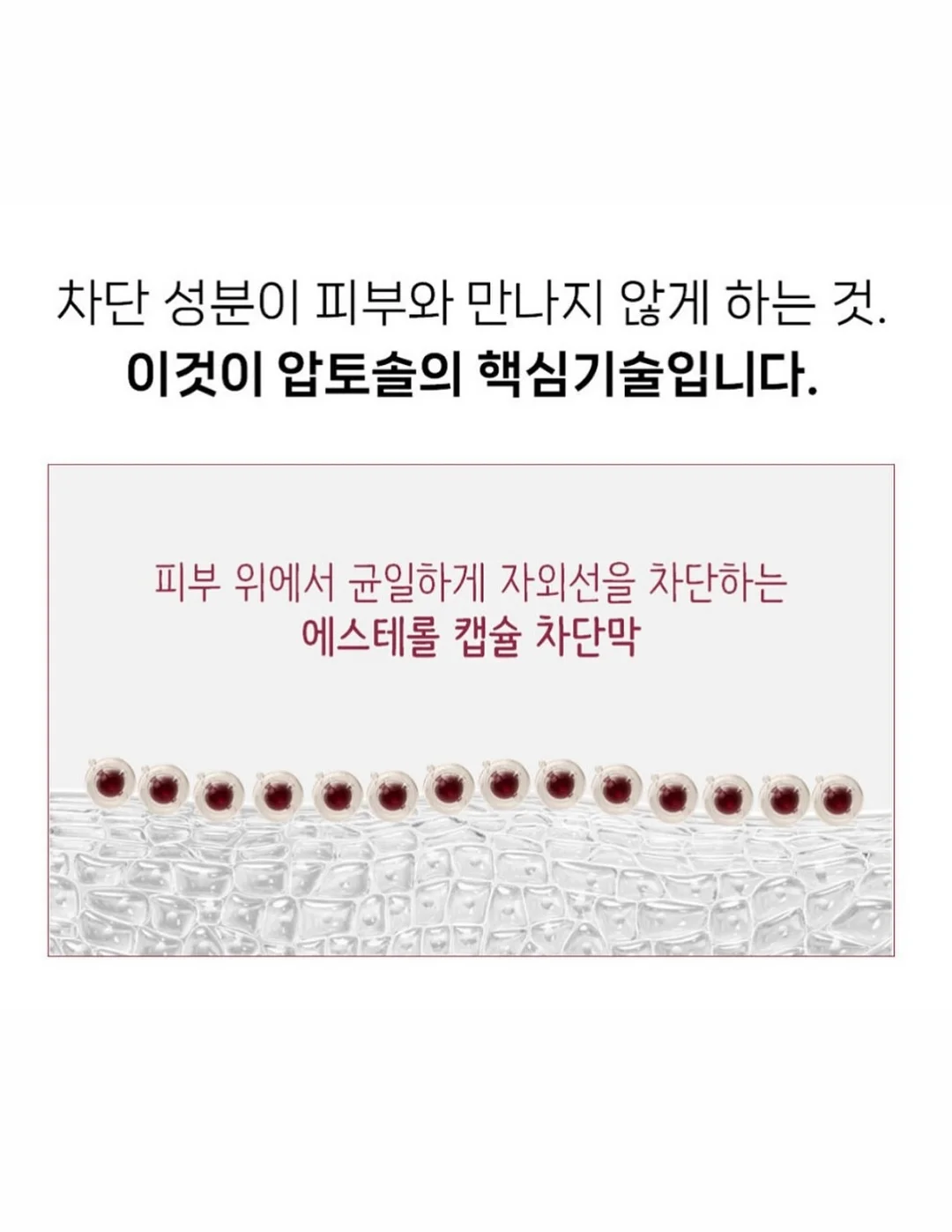 셀로더 수분크림 대용량 8