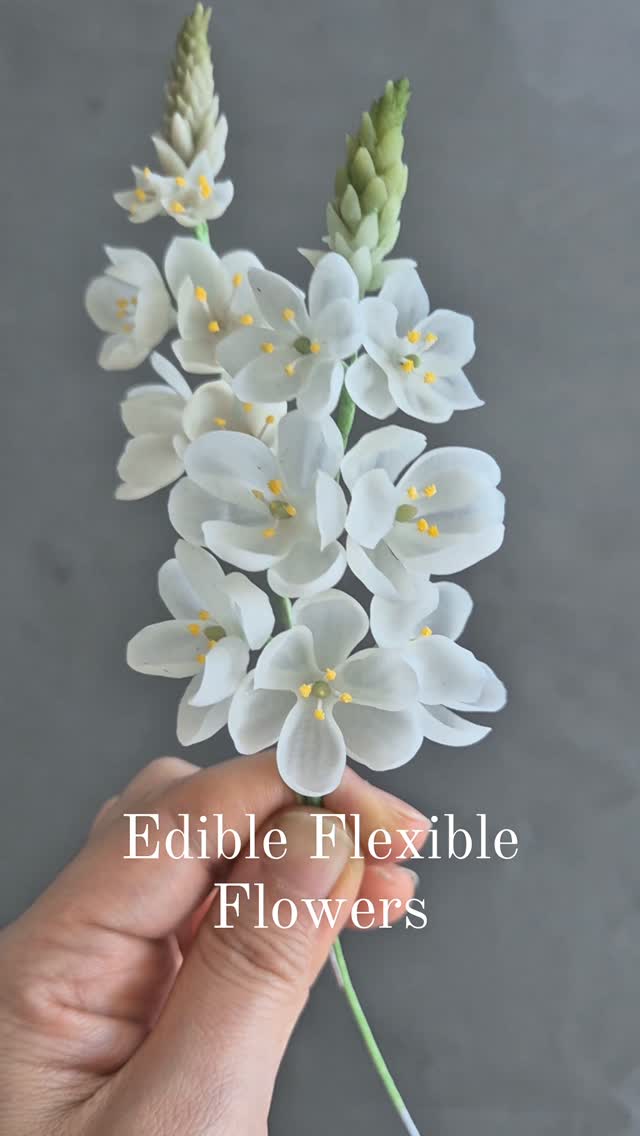 쫀득 바나나