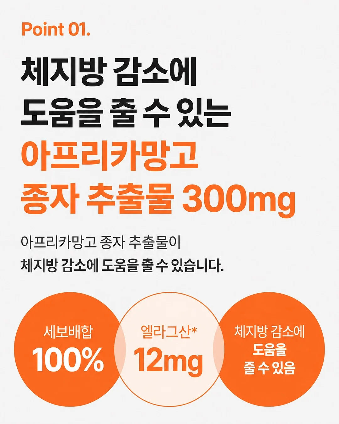 블루베리즙 9