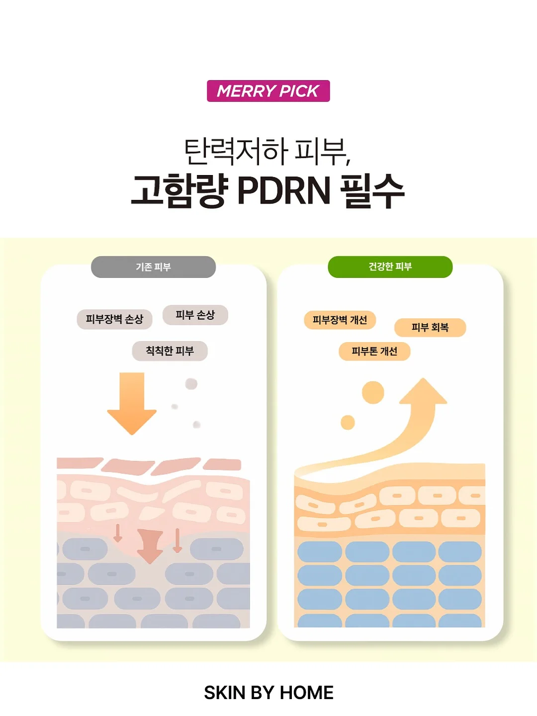 바이어트 6