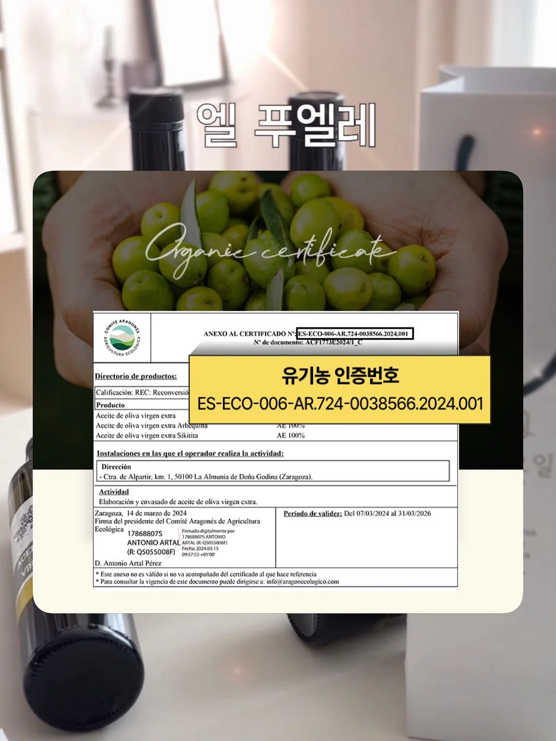 피리골지티 10