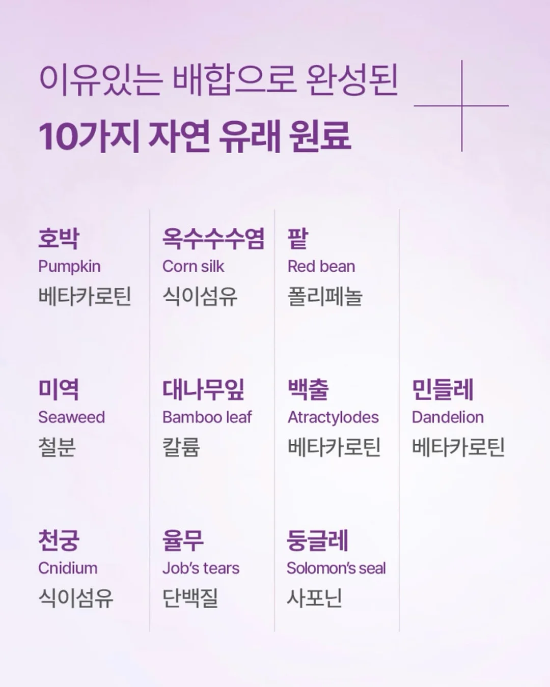 먼지털이 3