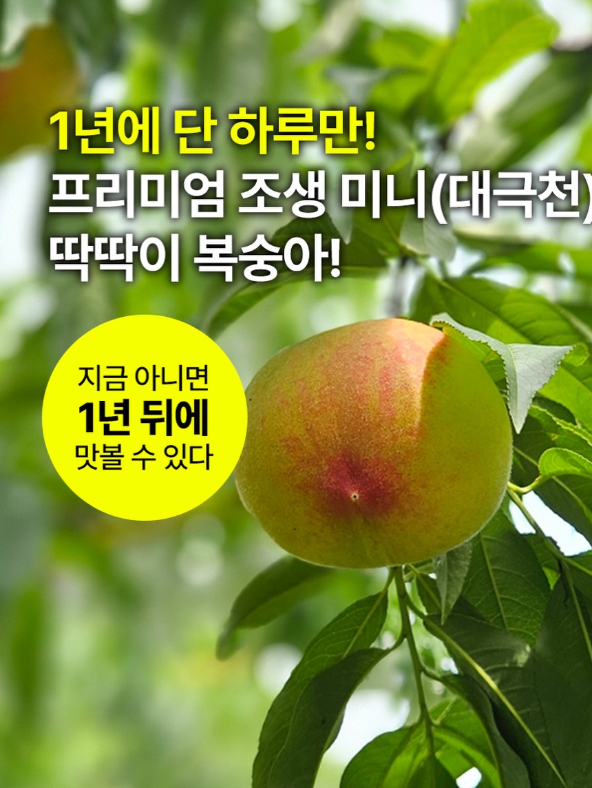 엑소메라 미백세럼 + 미백크림 2