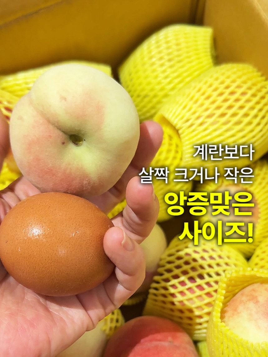 엑소메라 미백세럼 + 미백크림 3