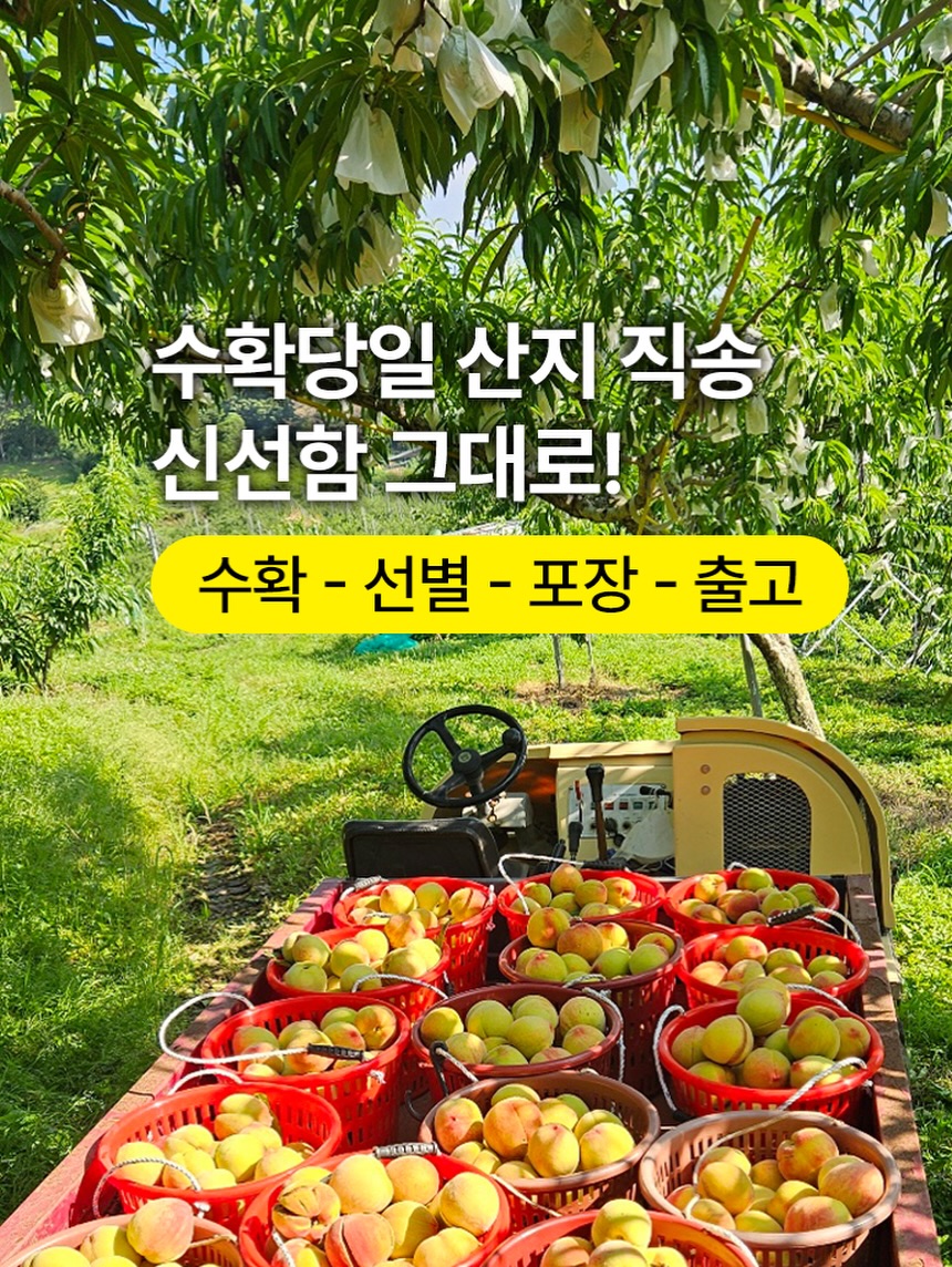 엑소메라 미백세럼 + 미백크림 6