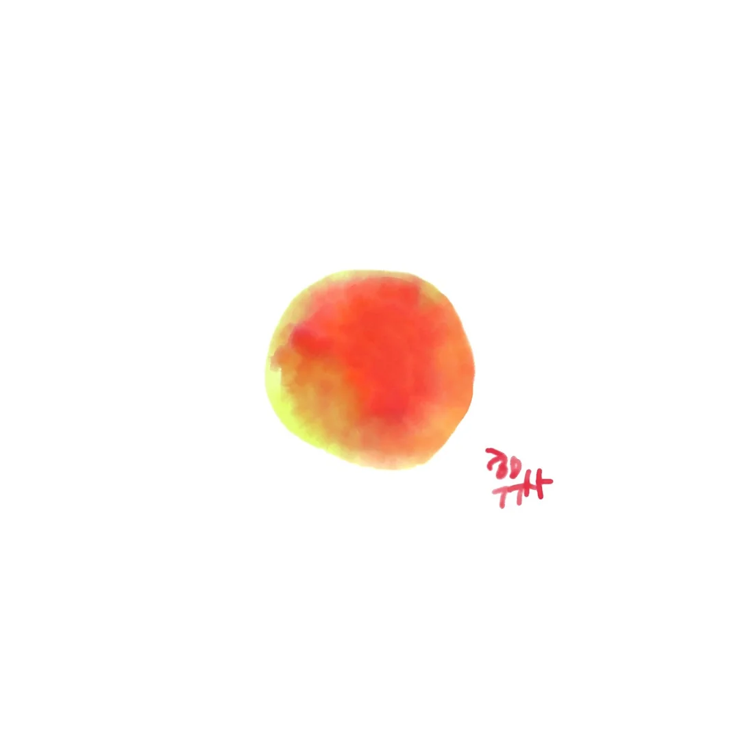 엘리팬츠