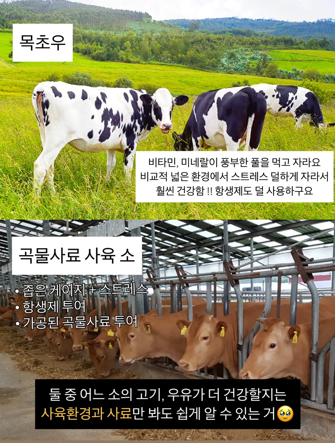 나이키 반팔티 7