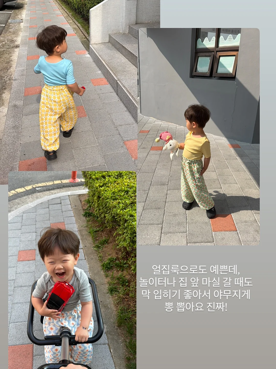 마이크로바이옴 테라피 유산균 앰플 5