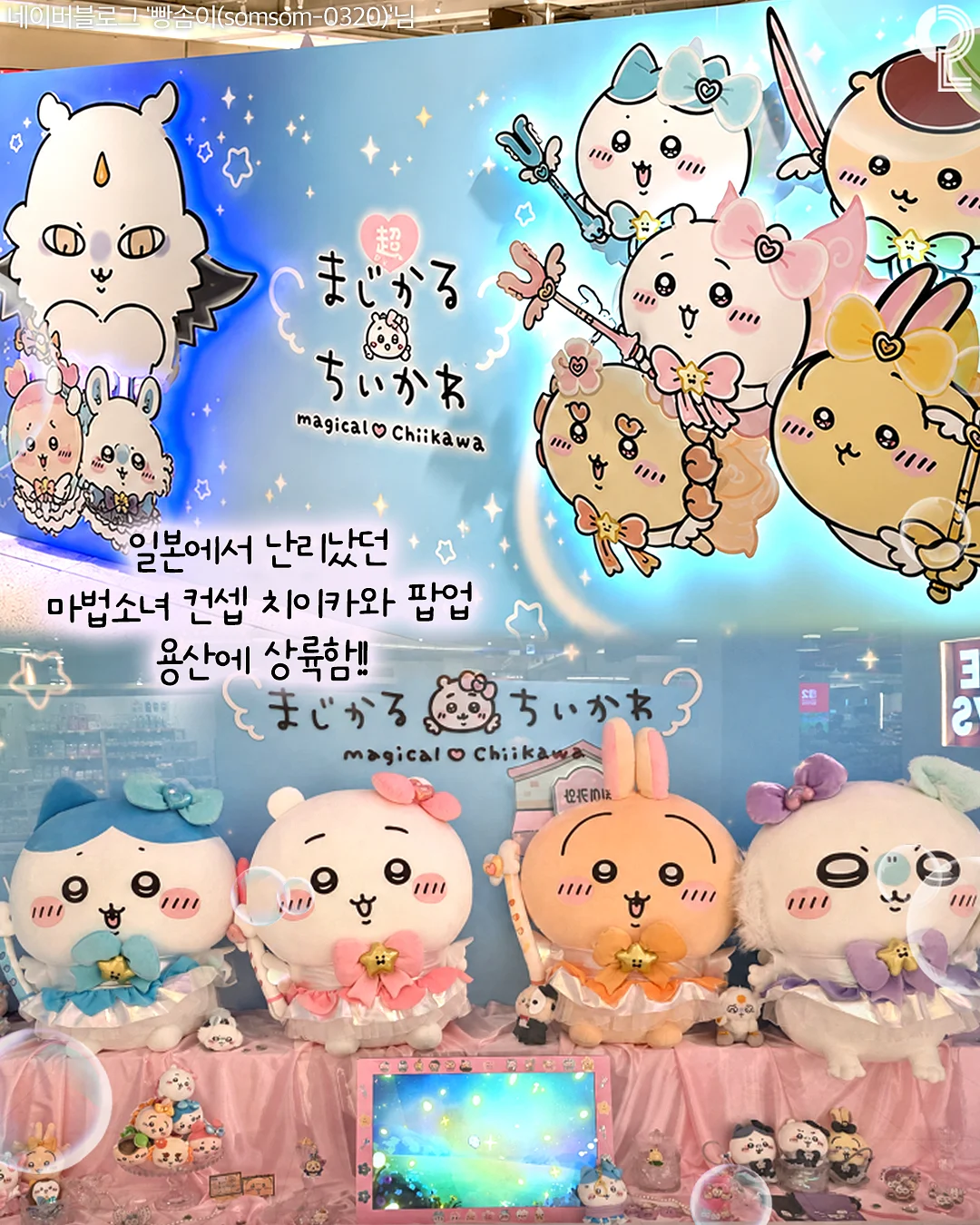 초록잎 키스컷 2