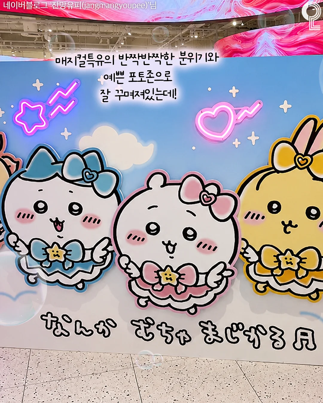 초록잎 키스컷 3