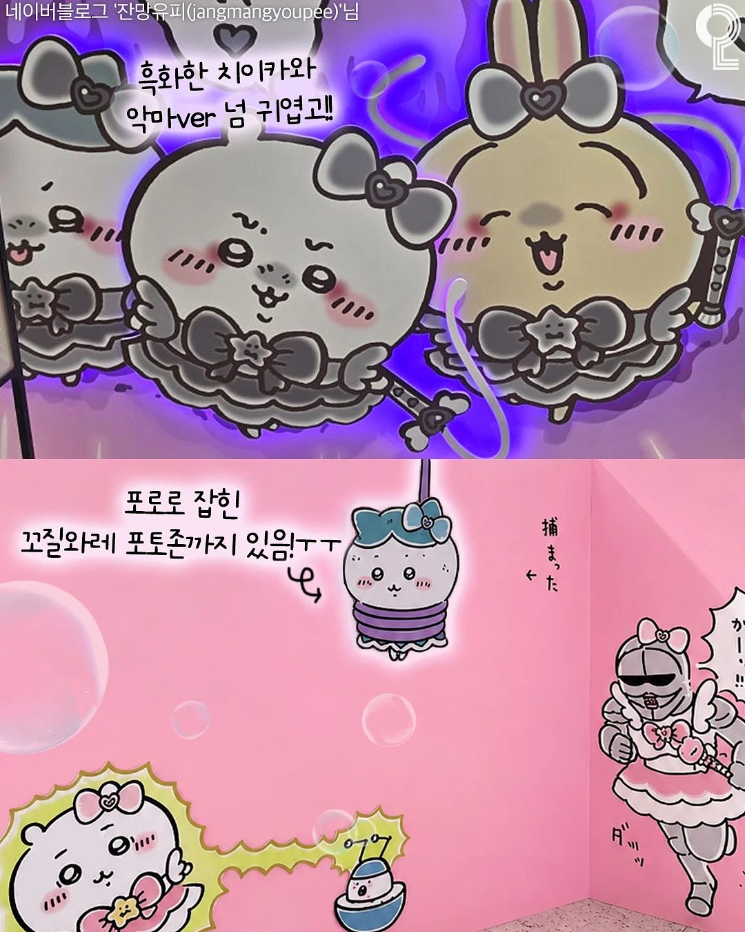 초록잎 키스컷 7