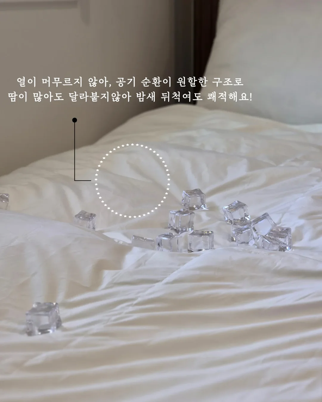 로지킴 멜로우 블러싱 세럼 5