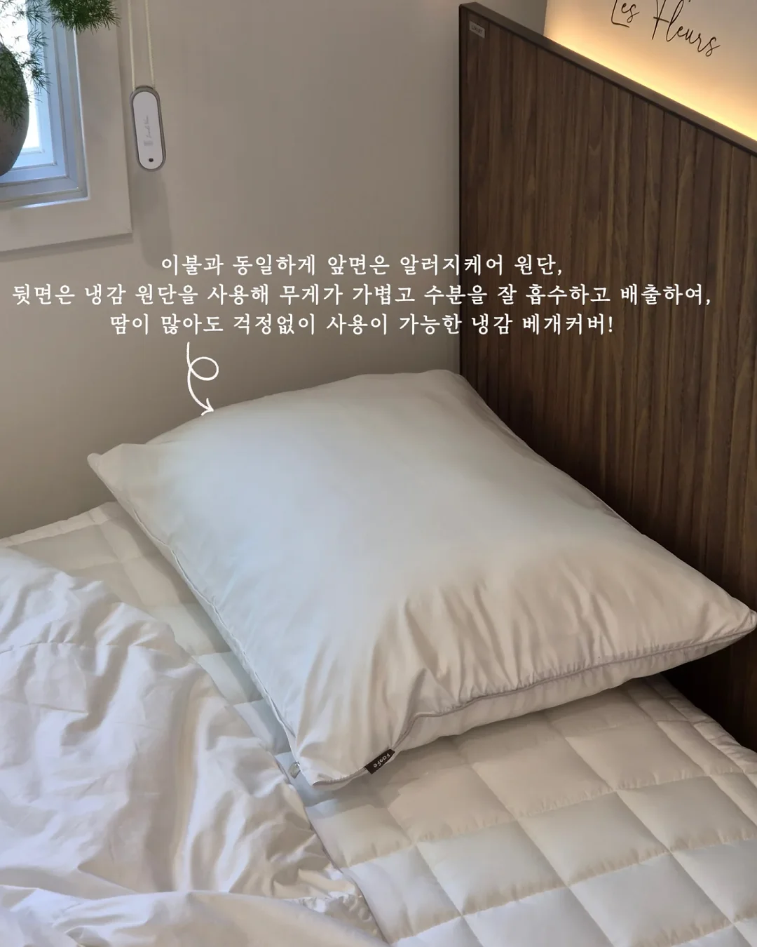 로지킴 멜로우 블러싱 세럼 10