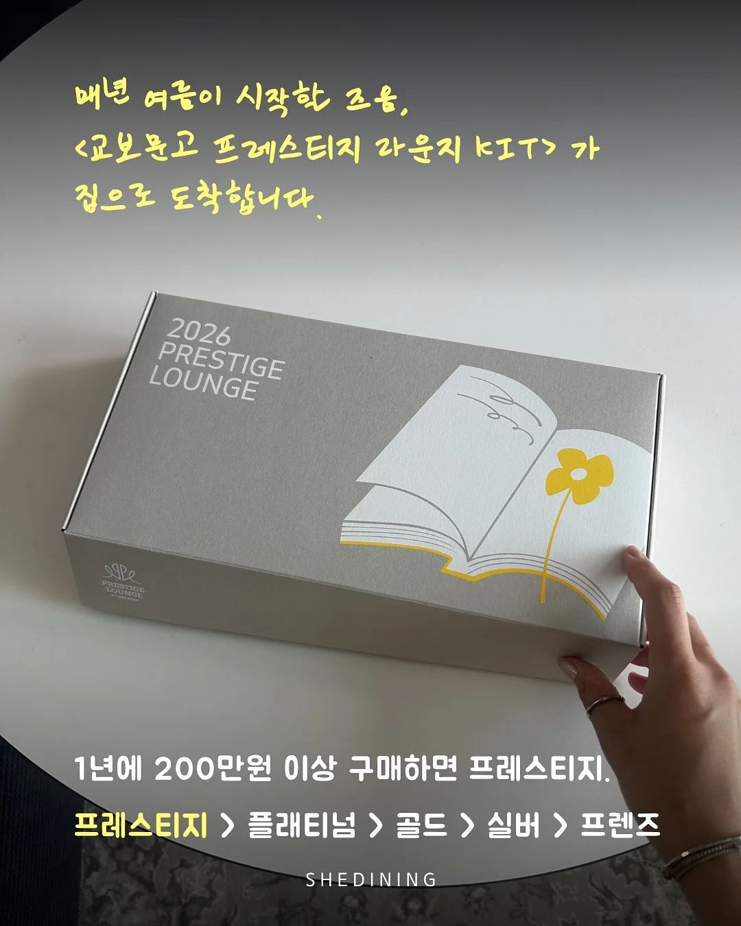 마인드원 프로 카드폰 2