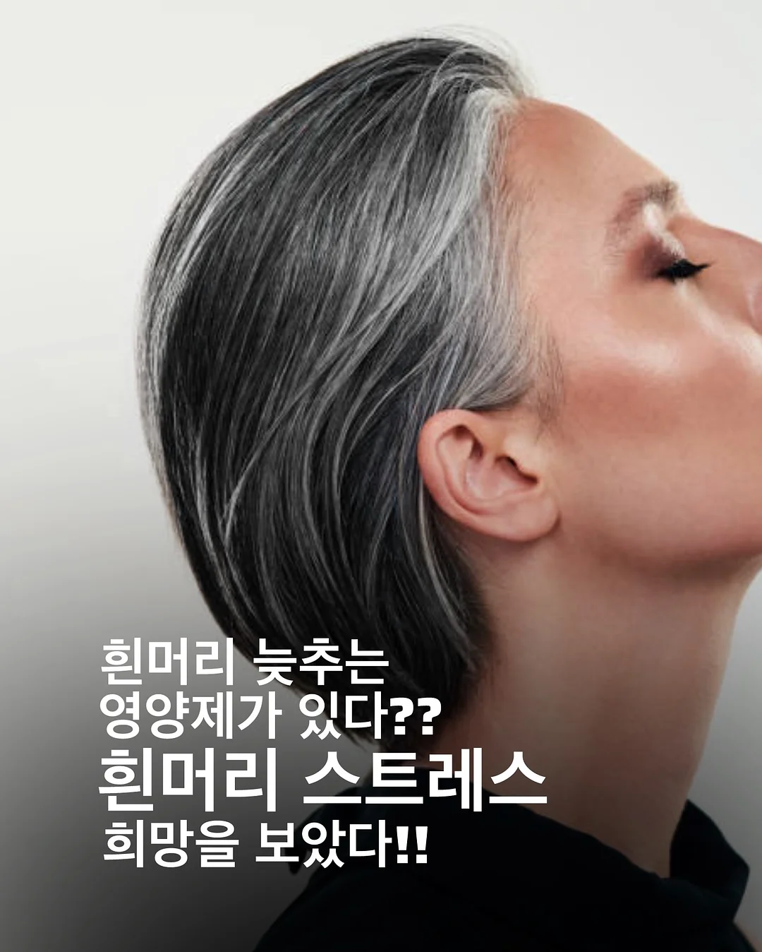 체어 바레 온라인 프로그램 1