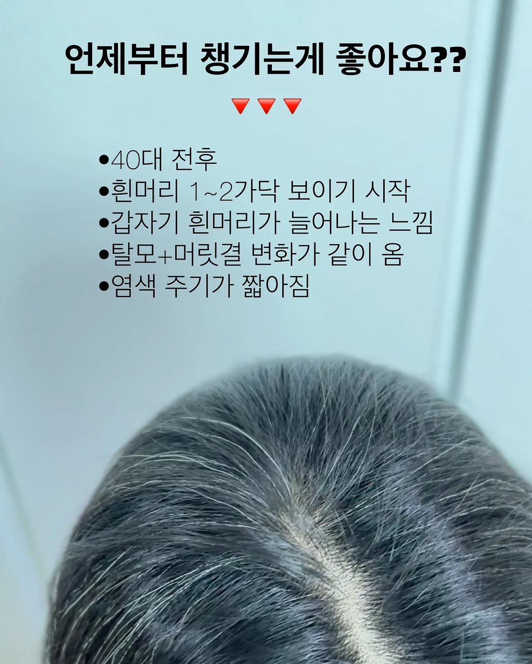 체어 바레 온라인 프로그램 11