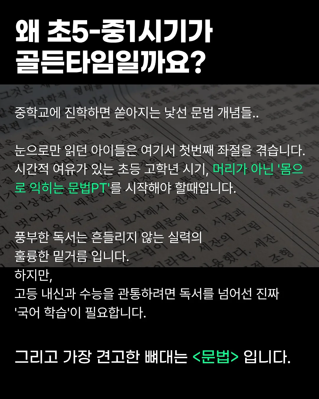 스윔어바웃 튜브 모음전 2