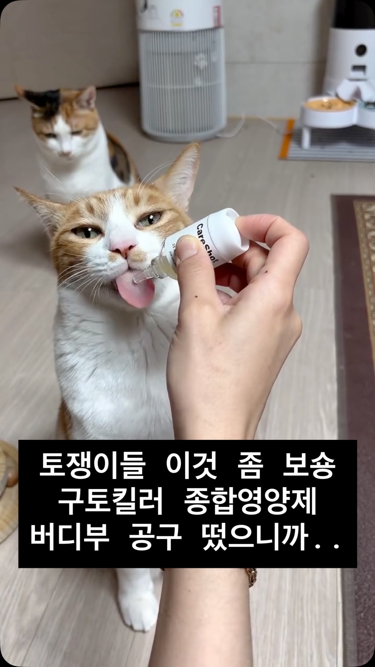 원스쿱 피스타치오 카다이프 스프레드