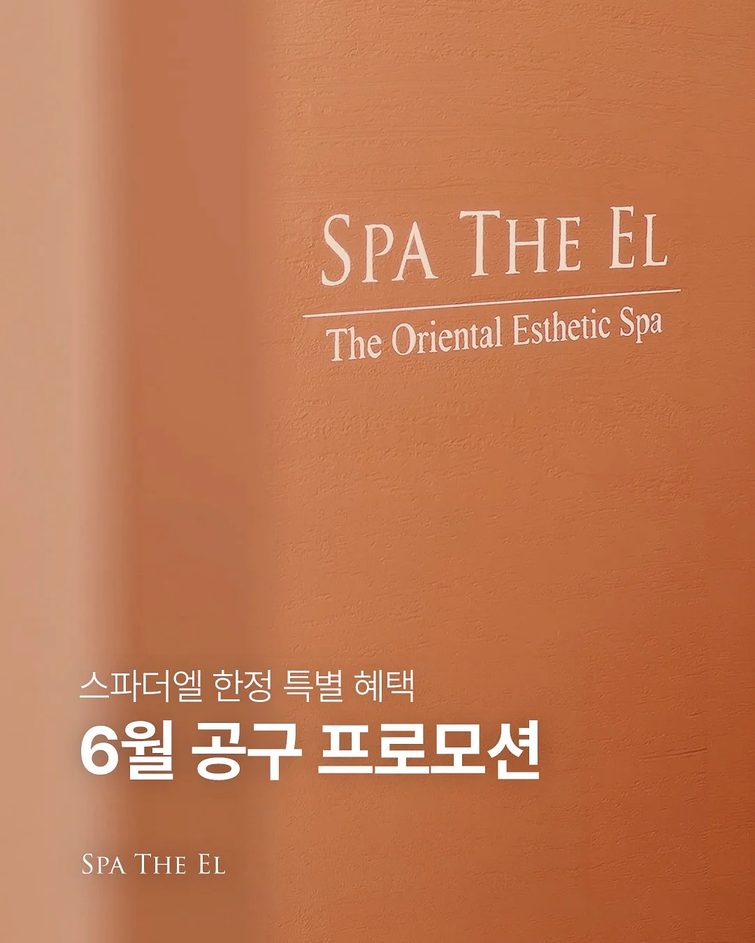 덴마크유산균이야기 포켓몬 콜라보 한정 기획세트 1