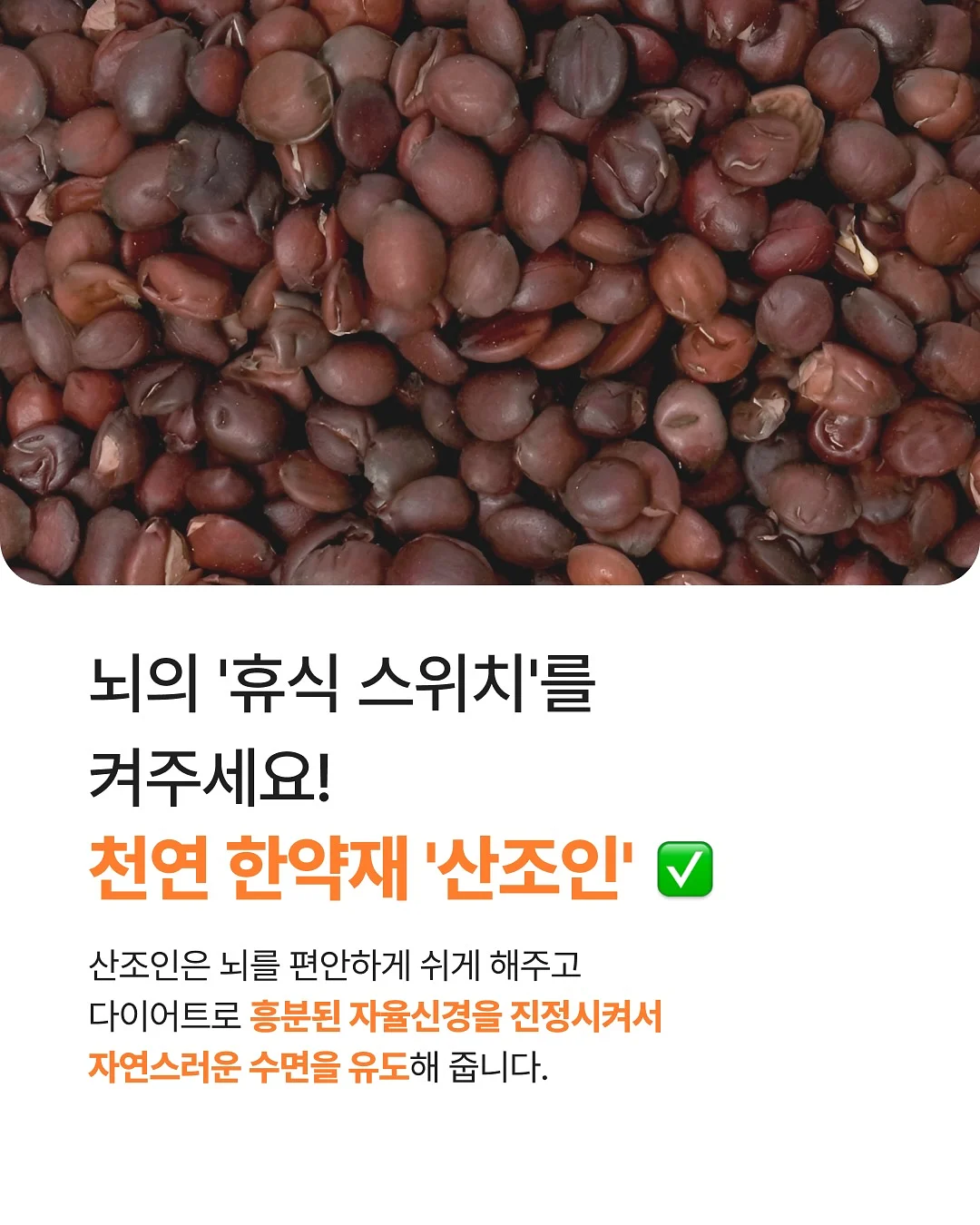 물개 물놀이 장난감 13