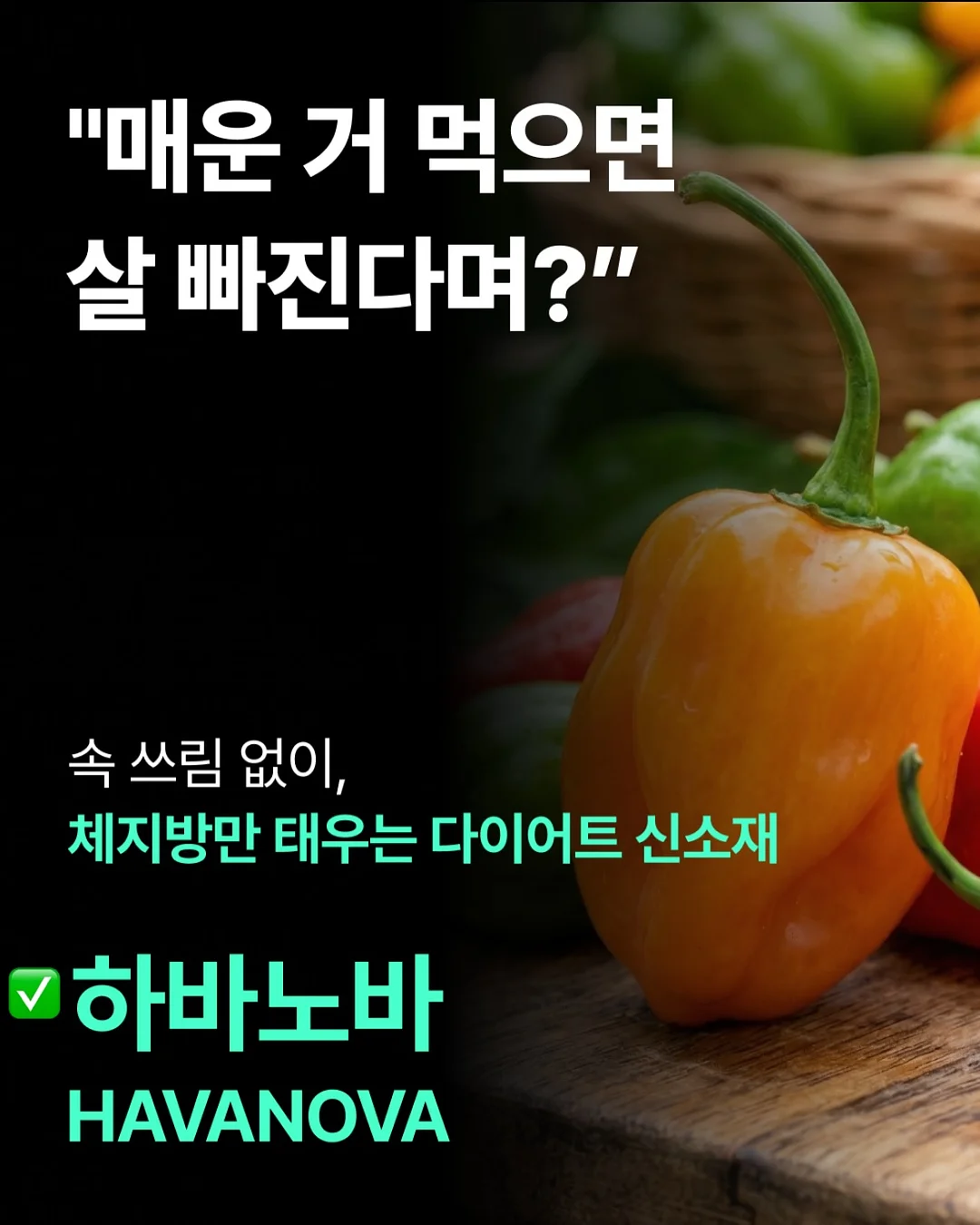 물개 물놀이 장난감 15