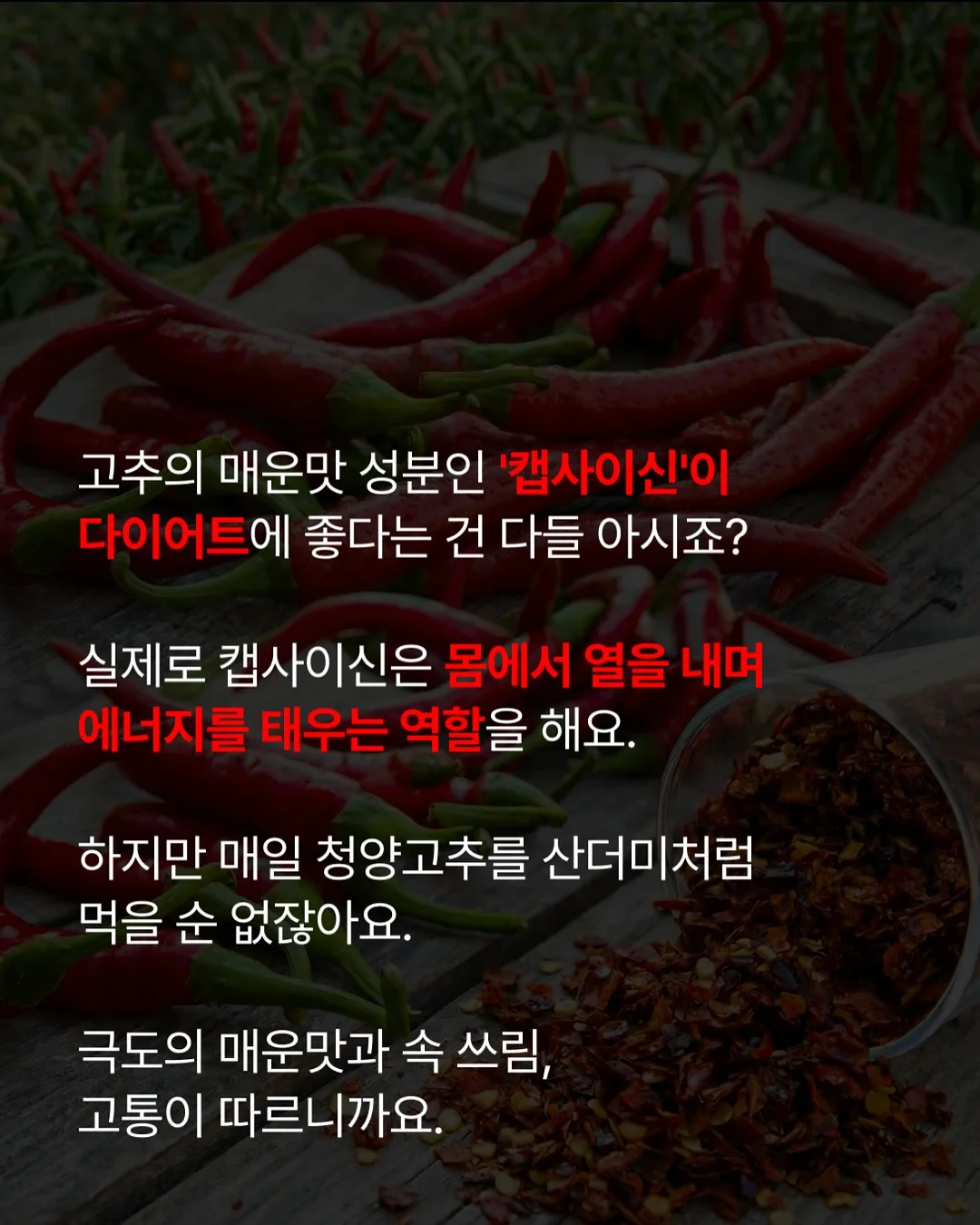 물개 물놀이 장난감 16