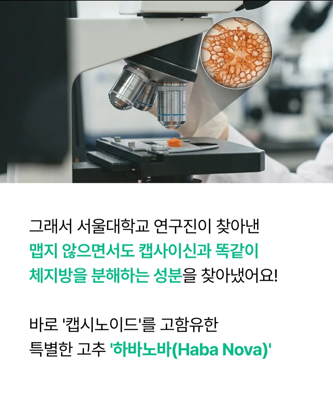 물개 물놀이 장난감 17