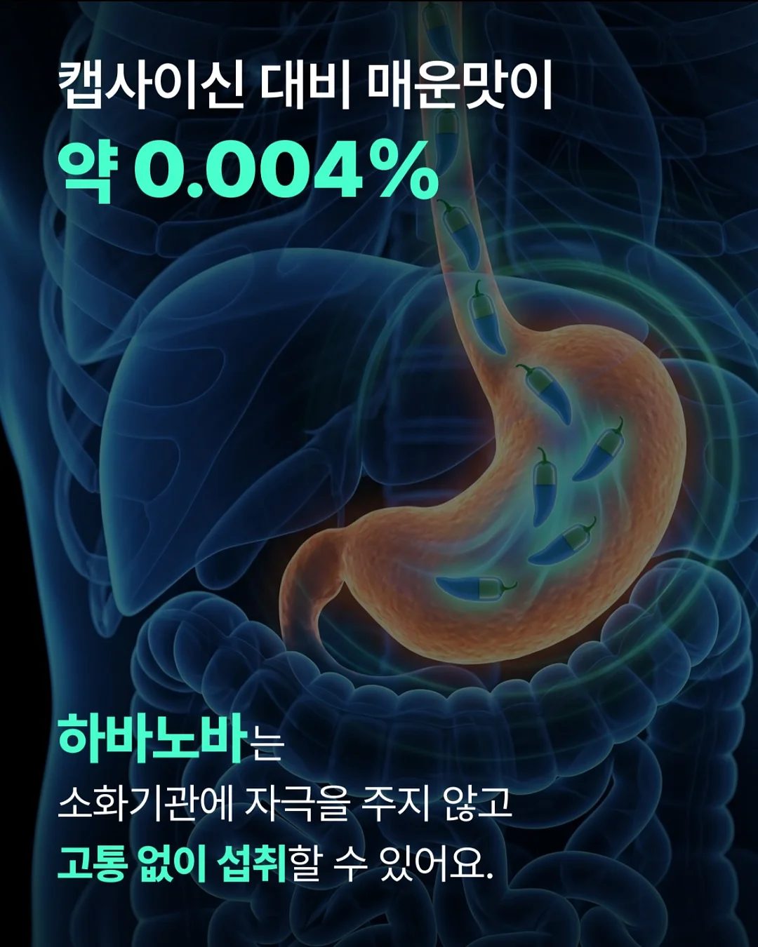 물개 물놀이 장난감 18