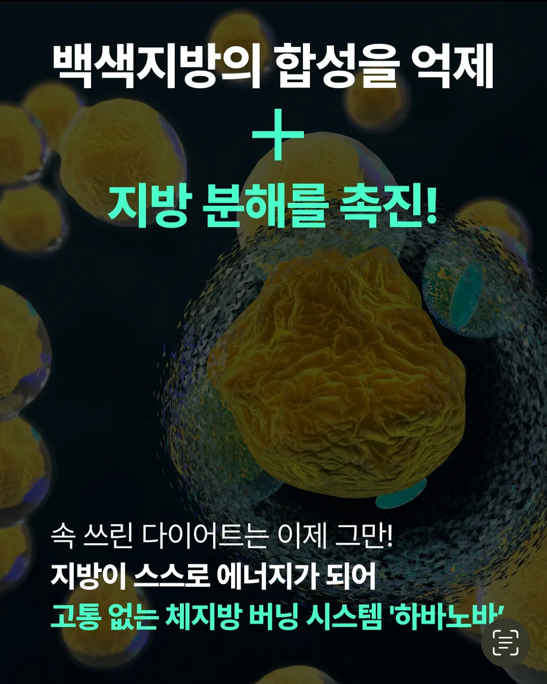 물개 물놀이 장난감 20