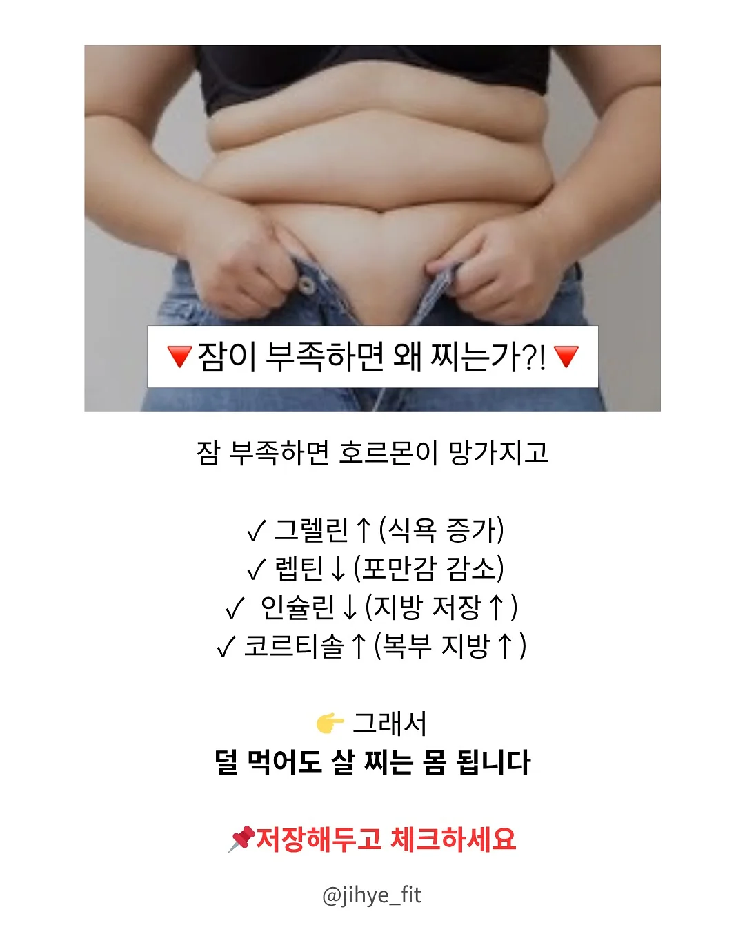 물개 물놀이 장난감 2