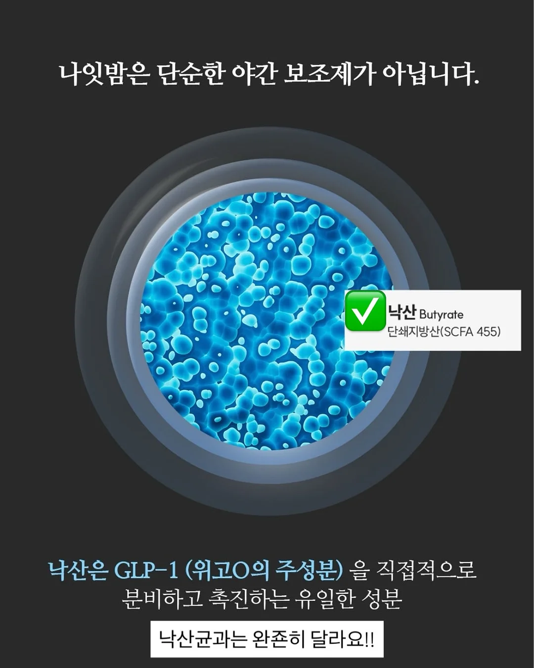물개 물놀이 장난감 8