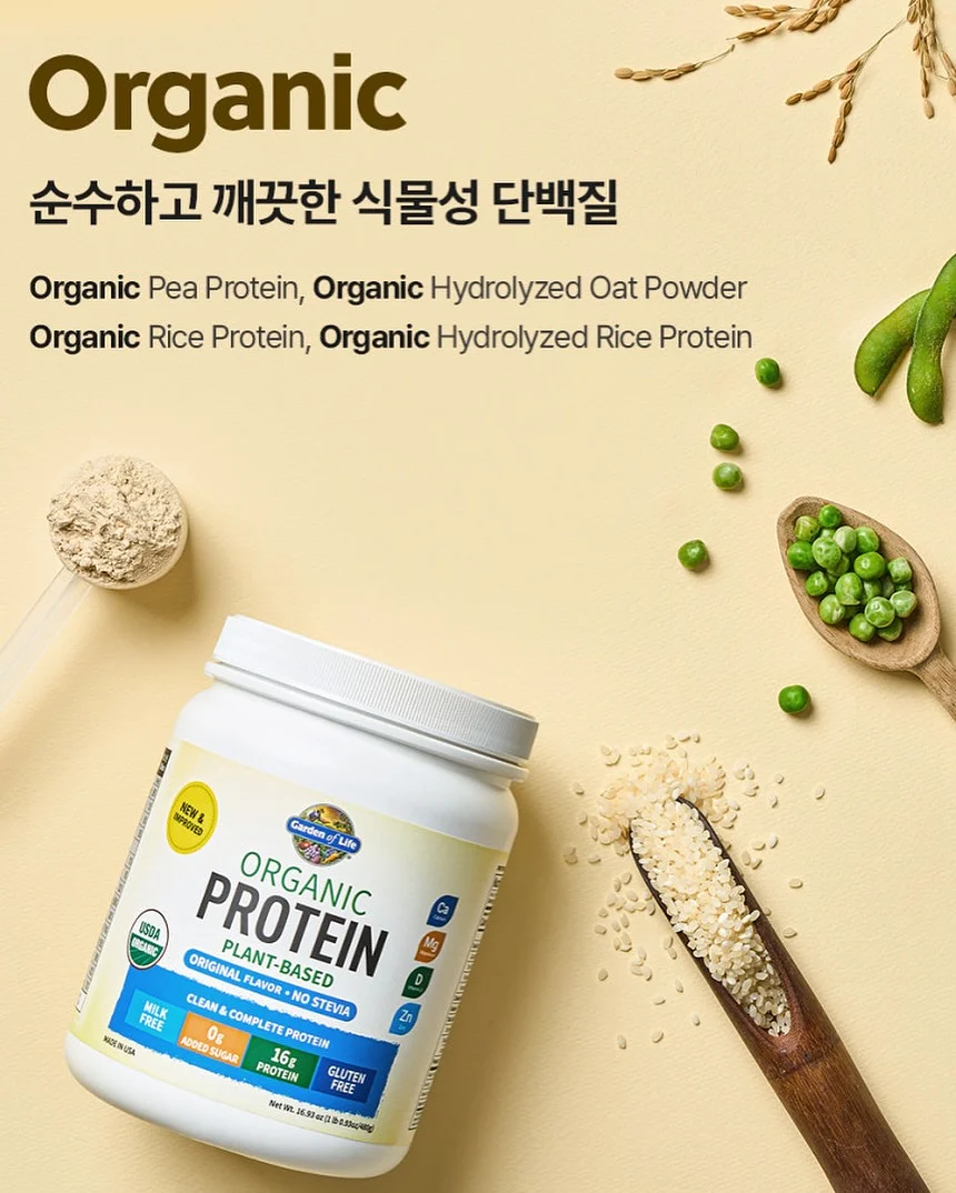 반려 돌멩이 3