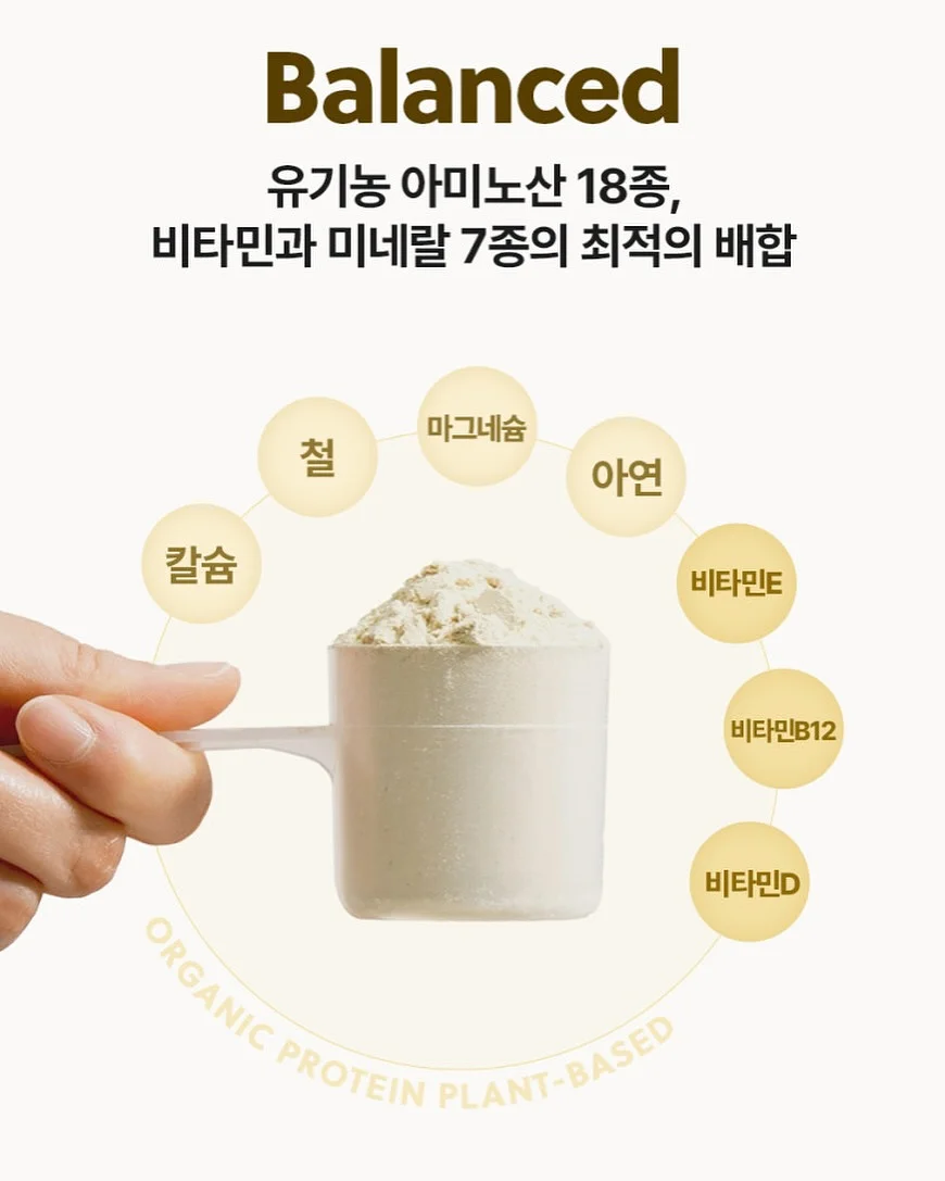 반려 돌멩이 4