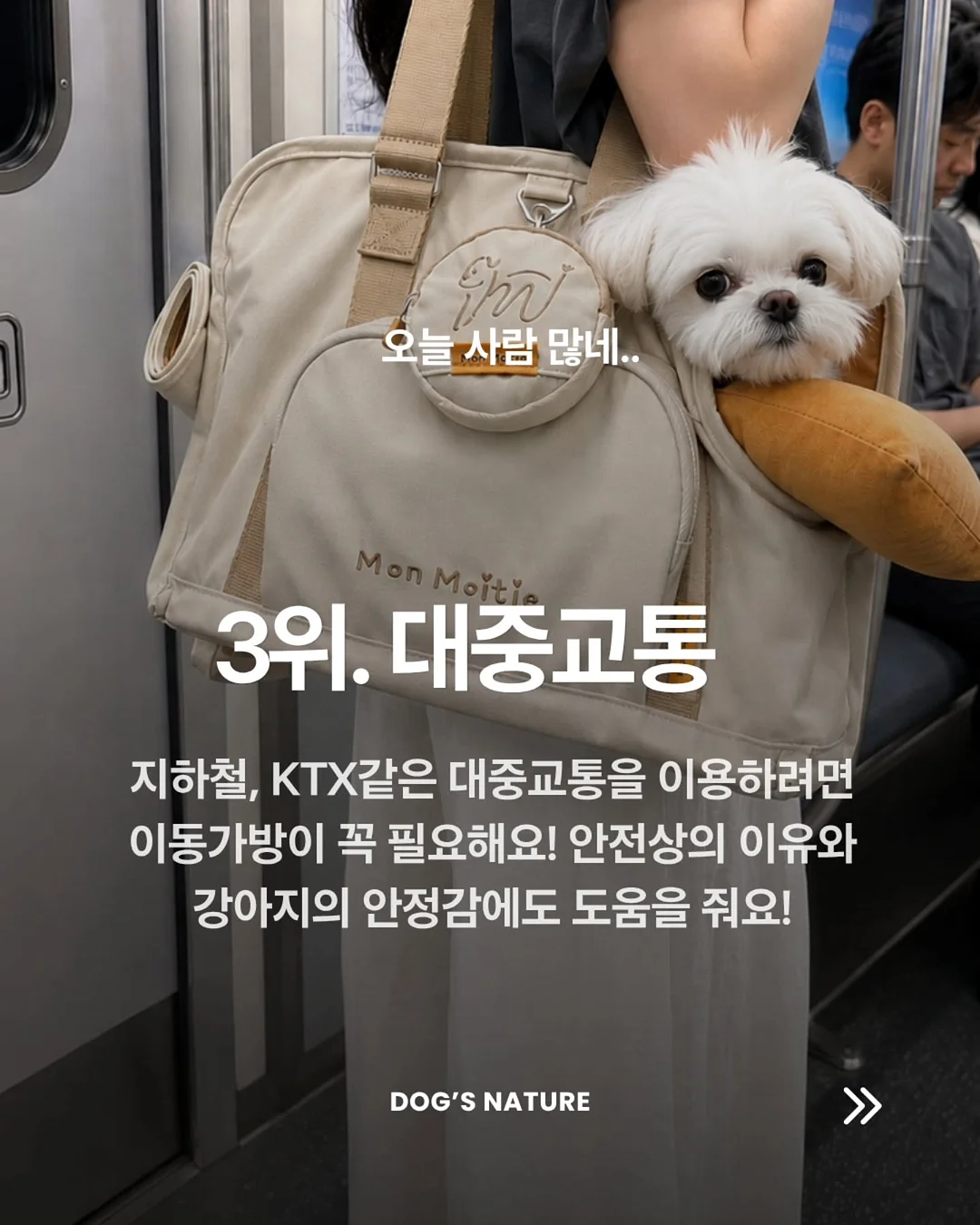 놀이터 분필 2