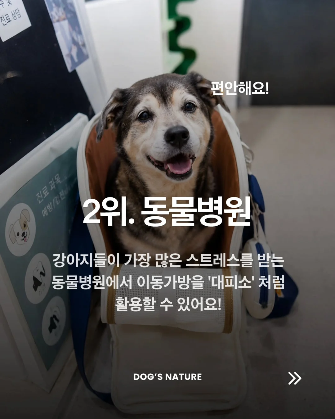 놀이터 분필 3