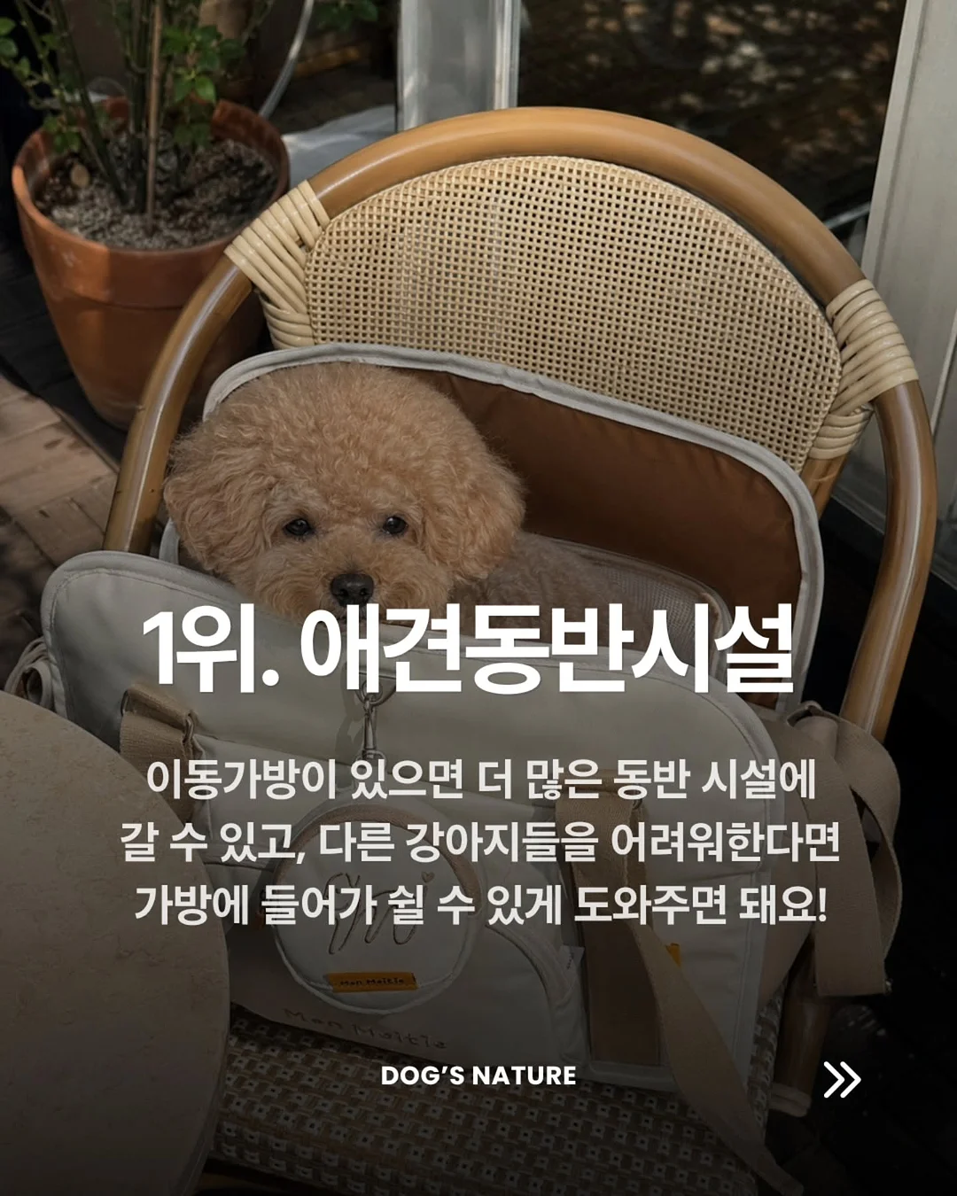 놀이터 분필 4