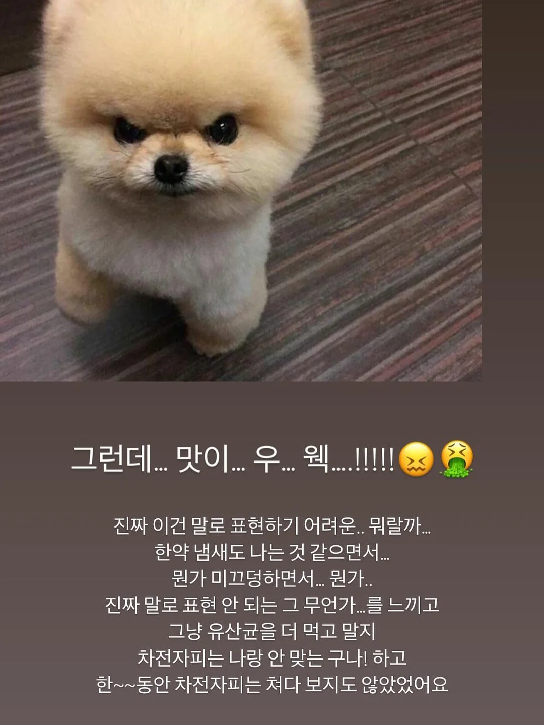 체크 크롭셔츠 4
