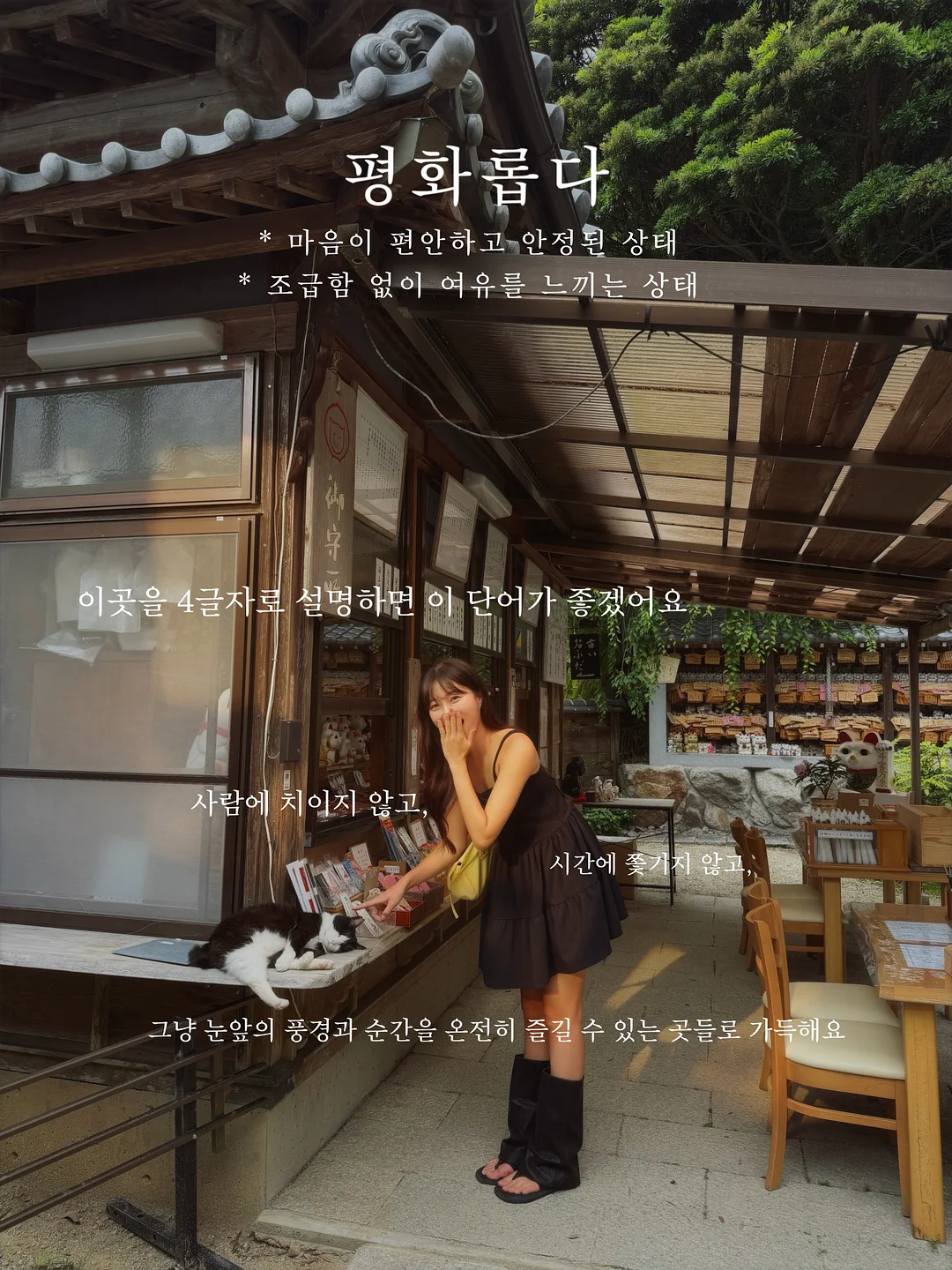헤브블루 컨디션 연어크림 3
