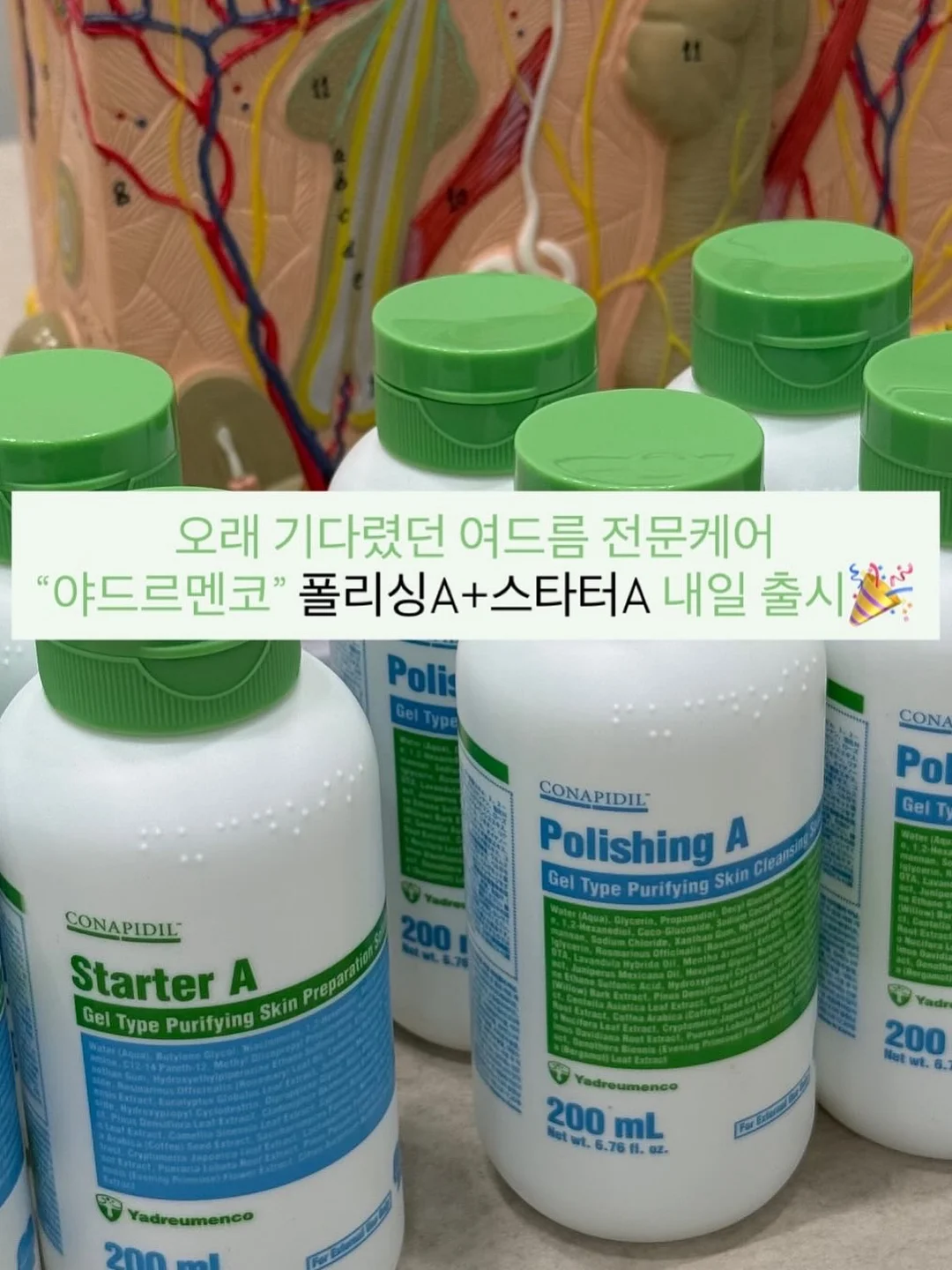 대나무 사각 바구니, 대나무 스토리지 박스, 걸이 화분, 티크우드 요리스푼 1