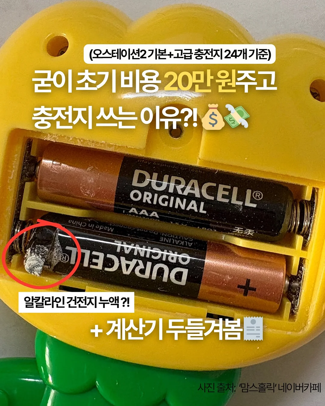 소피아 수학박사 1