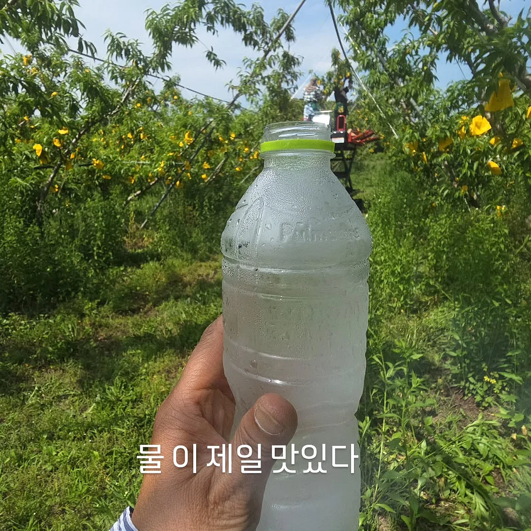 면역 염증 관리 2