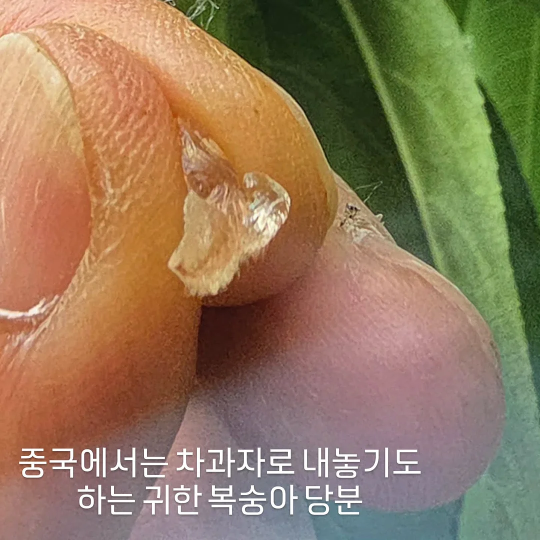 면역 염증 관리 6
