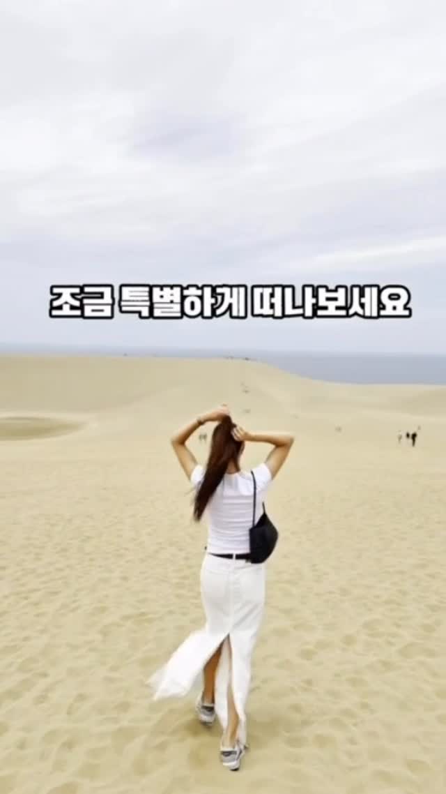 자동차 커버