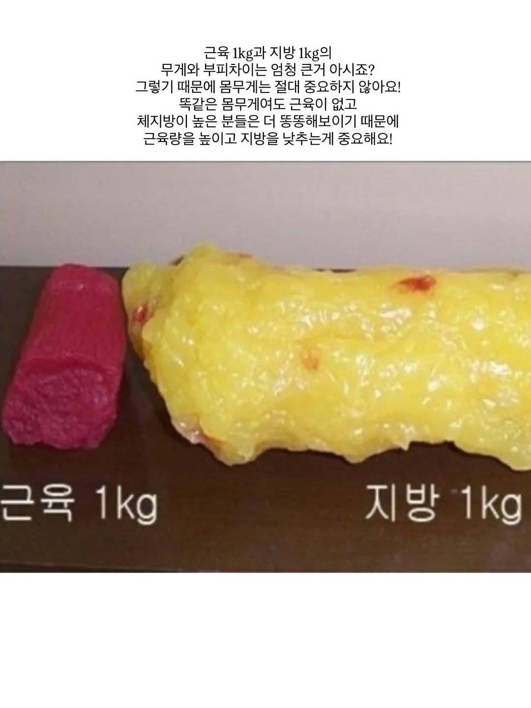 르메르 소파 8