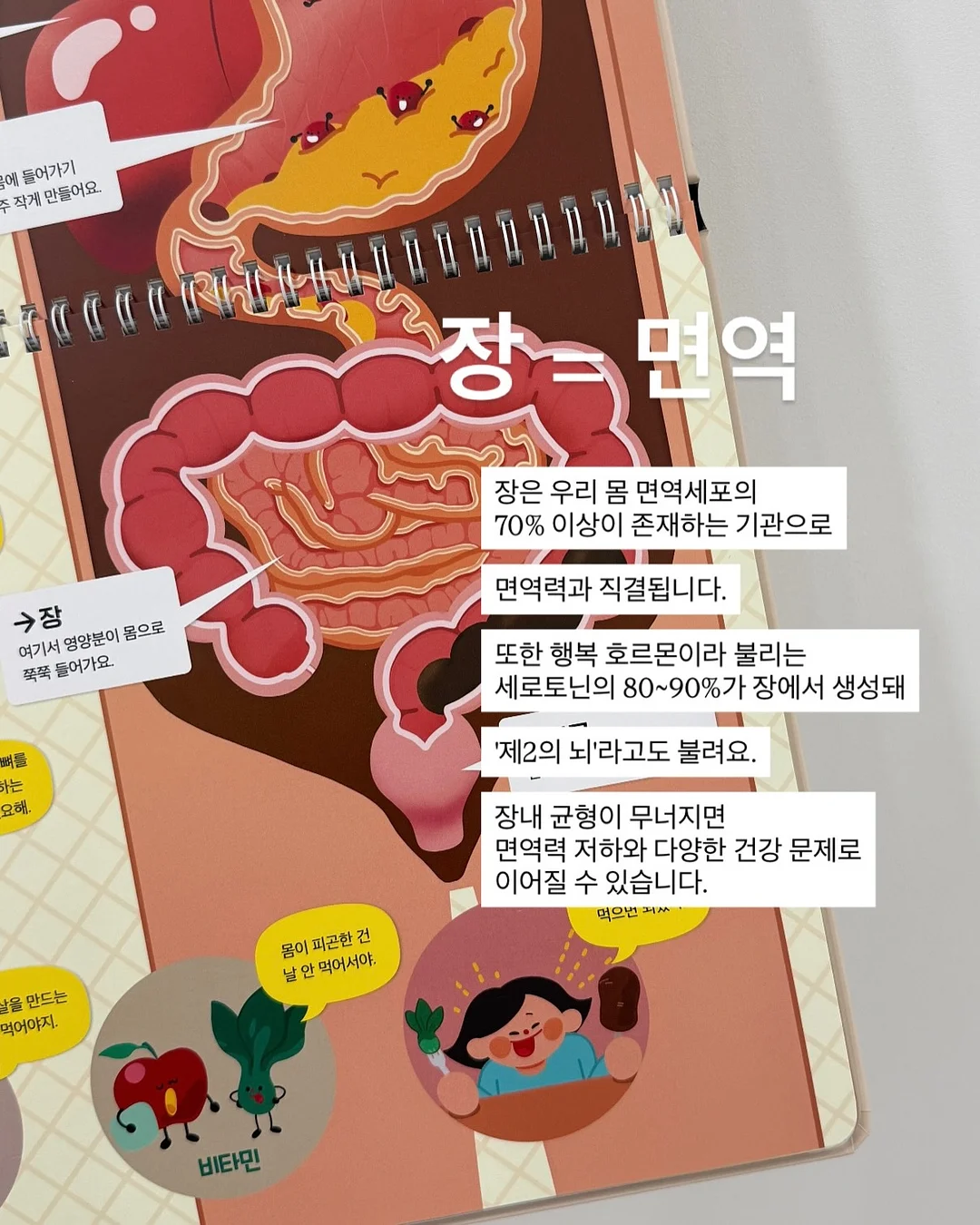 원터치 텐트 4