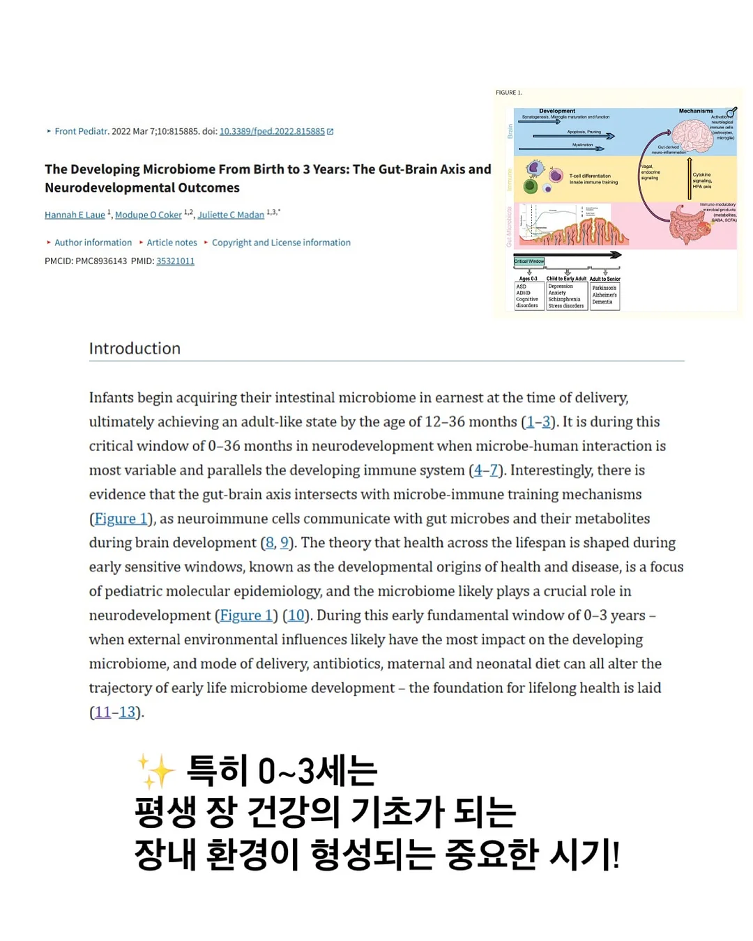 원터치 텐트 6