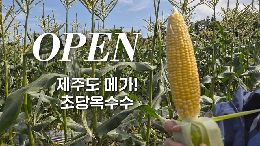 아이홈즈 에어컨 바람막이