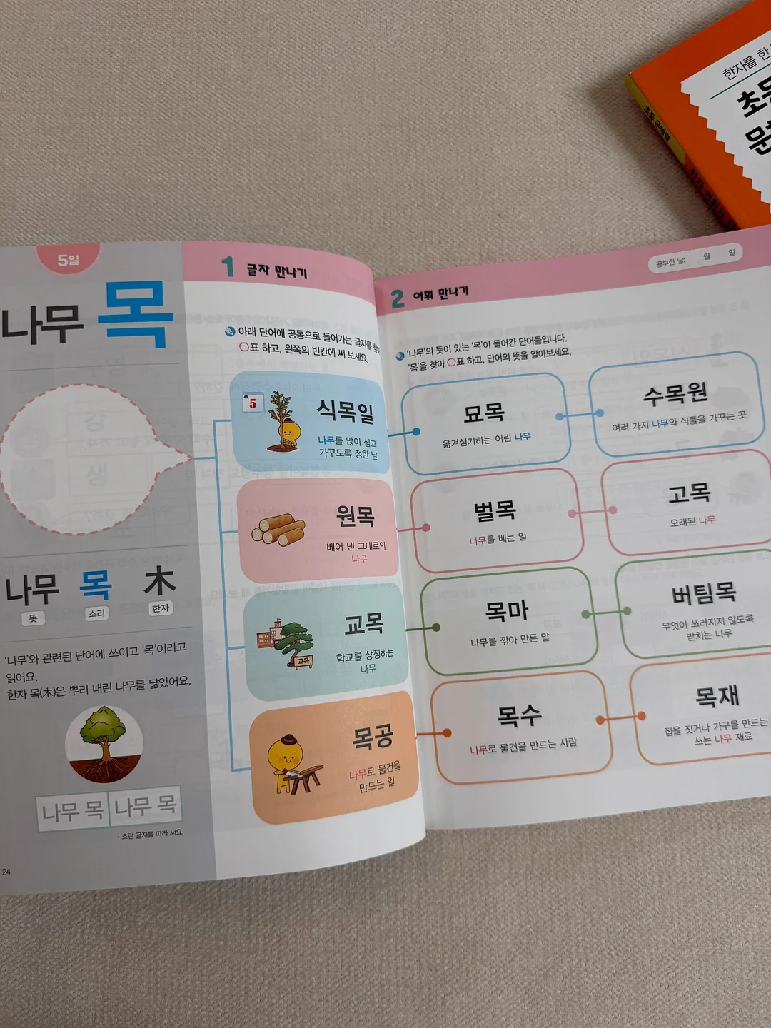 뷰러펌 5