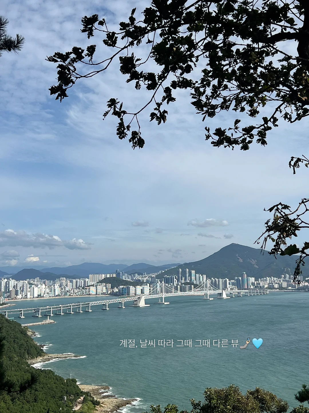 브라우니벙거지 썸머 버킷햇 11